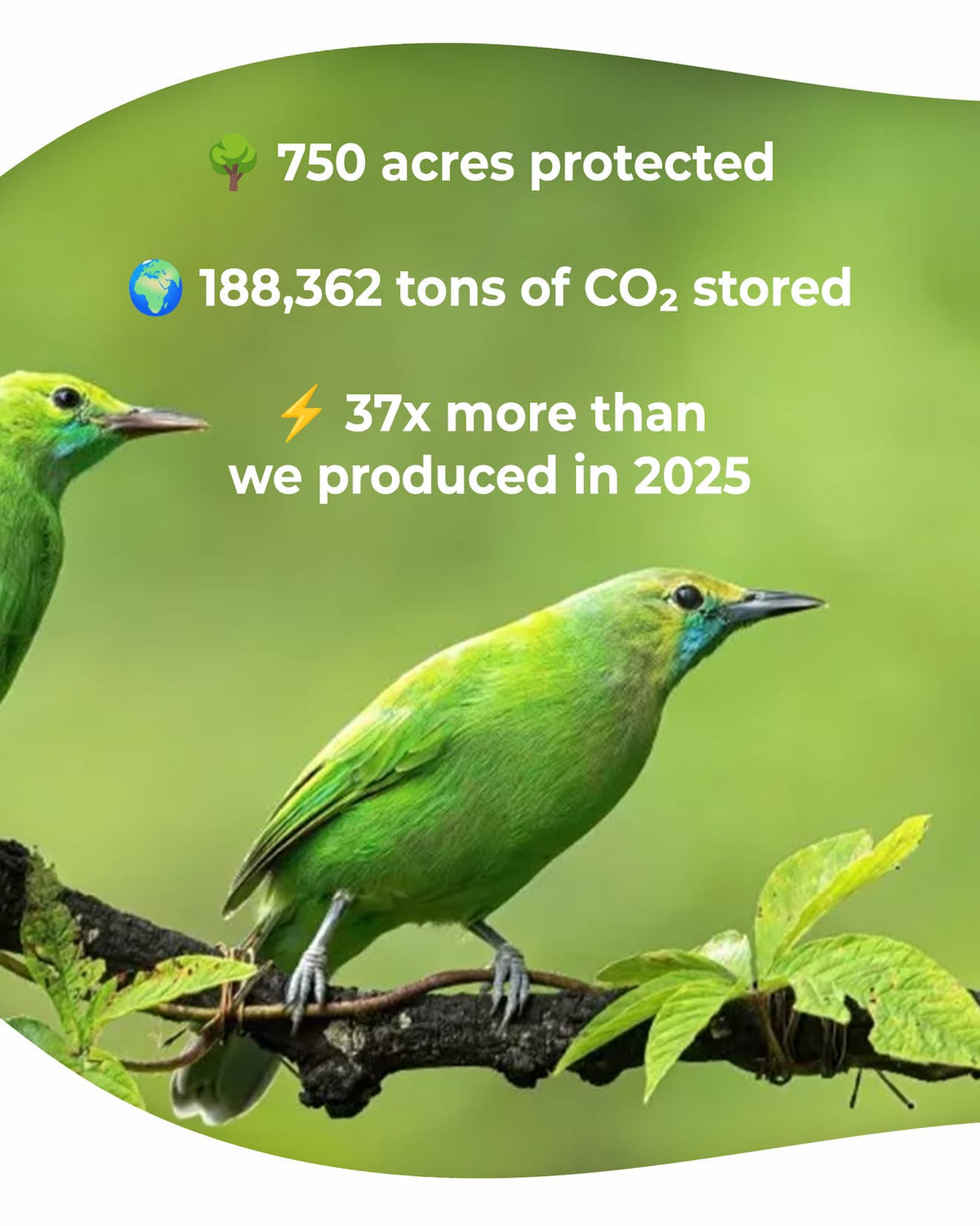 750 acres protected, 188,362 tons of CO2 stored, 37x more than TrubliFit produced in 2025